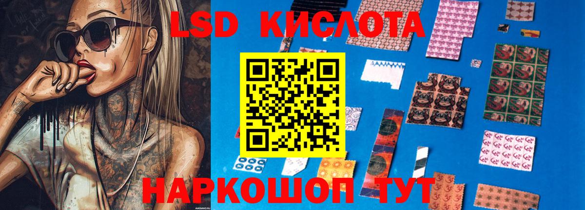 Курчалой  кракен tor  ЛСД экстази кислота  Вход с VPN  ЛСД экстази ecstasy 
